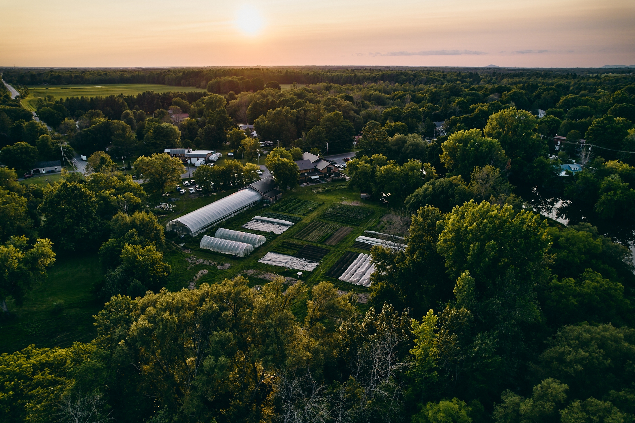 Vue aérienne au coucher du soleil de la ferme maraîchère de l'Espace Old Mill, serres, jardins et bâtiments entourés d'arbres