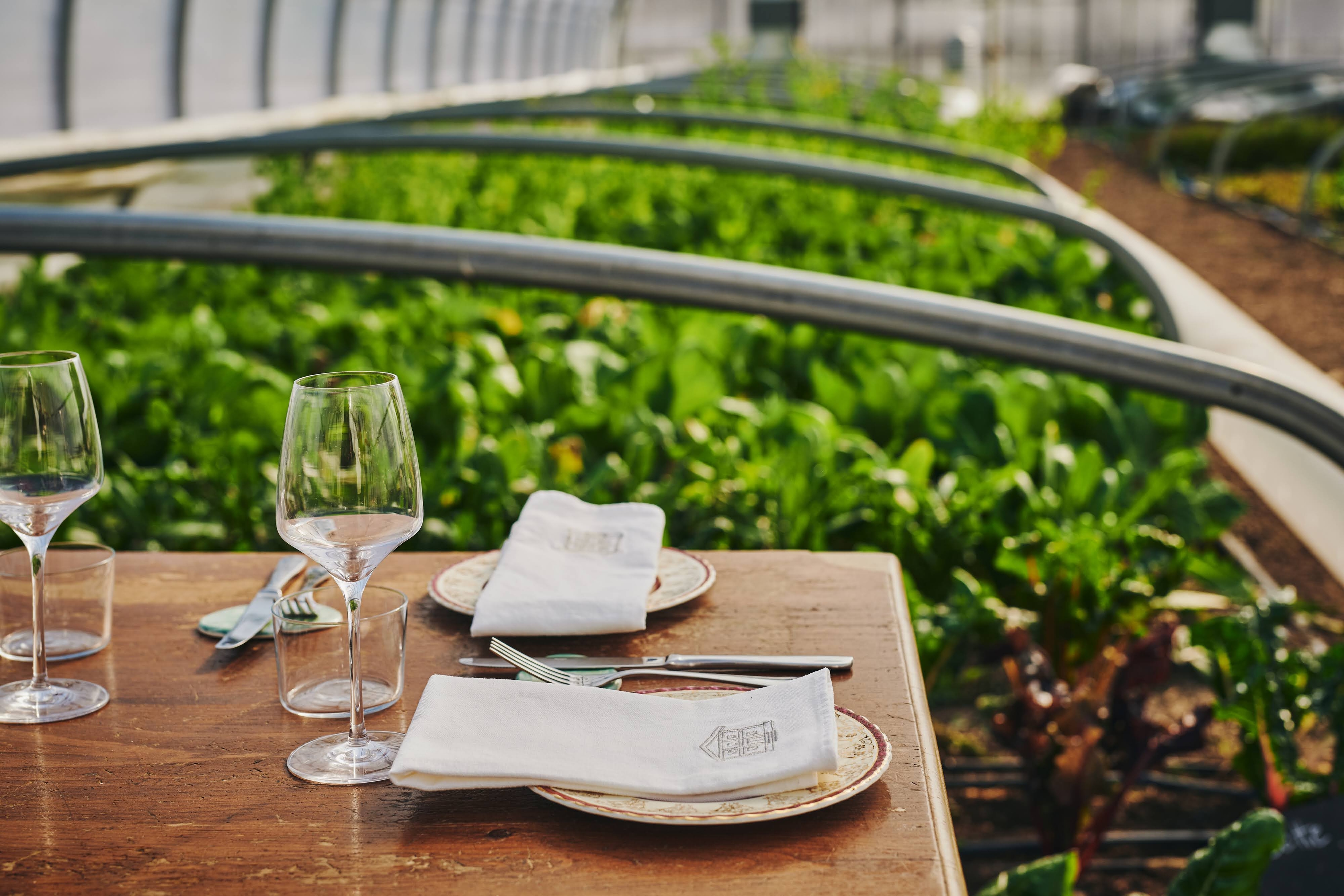 Table dressée à l'intérieur de la serre, entourée de plants de légumes