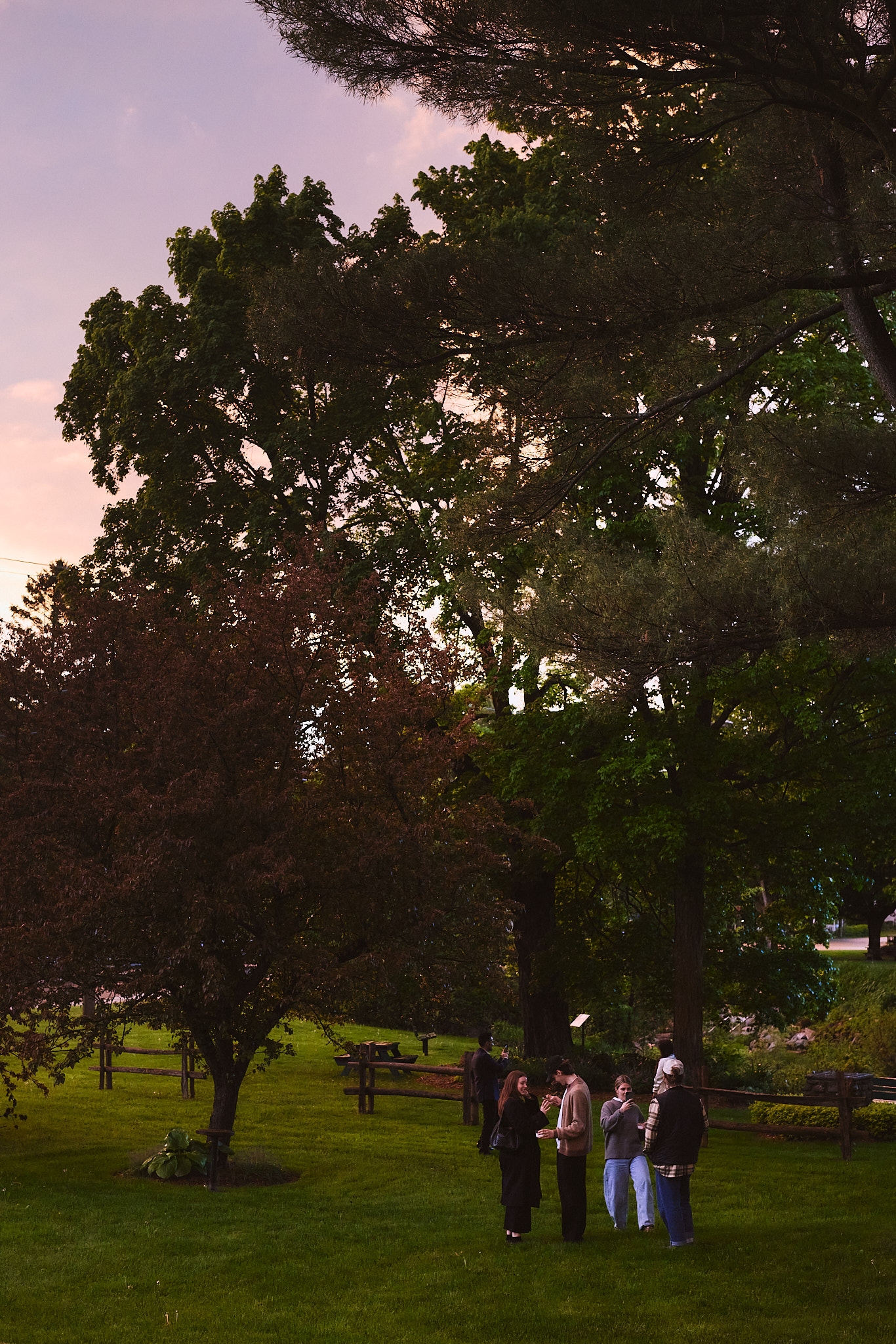 Convives sous un grand arbre dans les jardins de l'Espace Old Mill