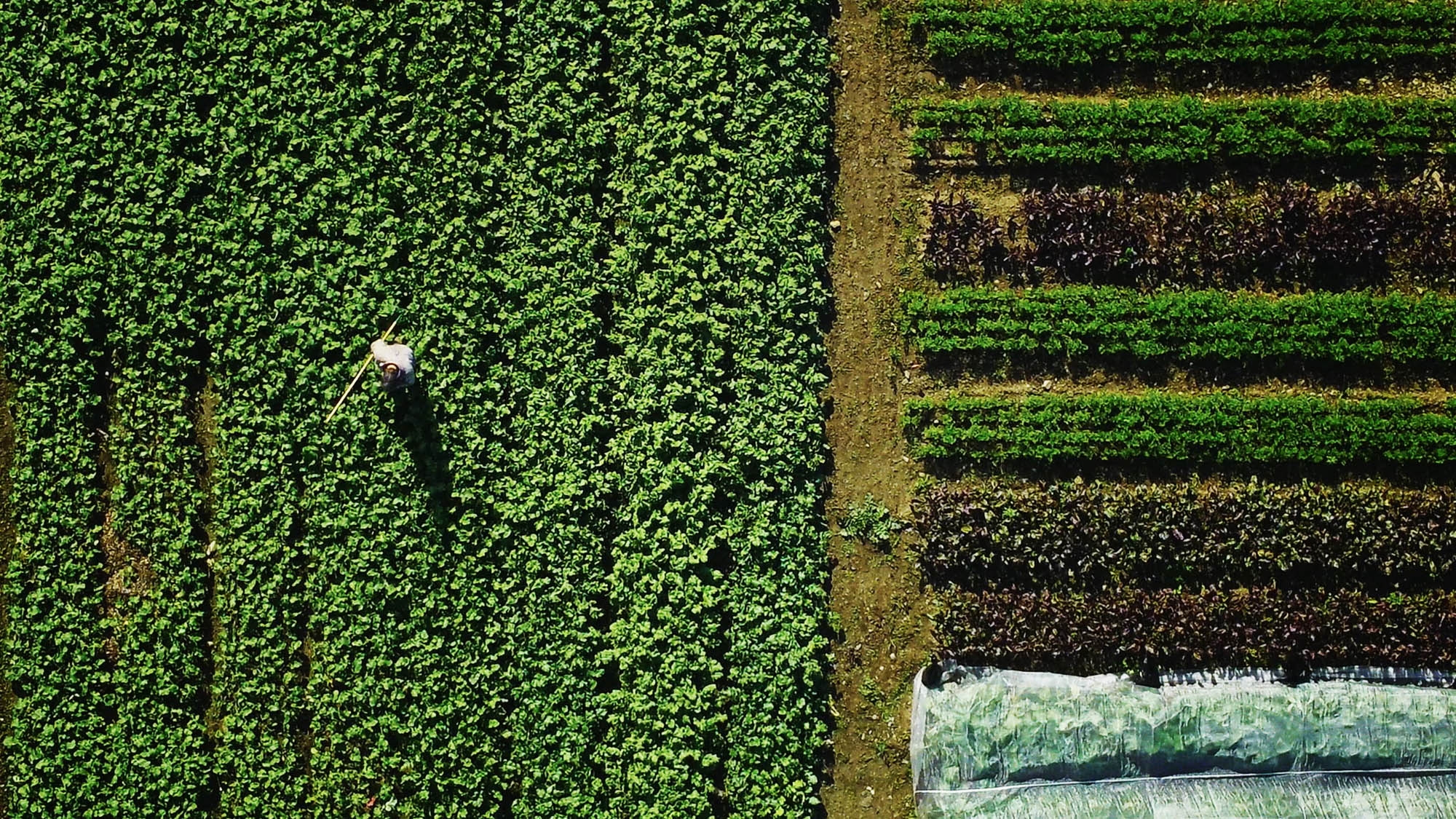 Épisode 1 : Tout est à faire