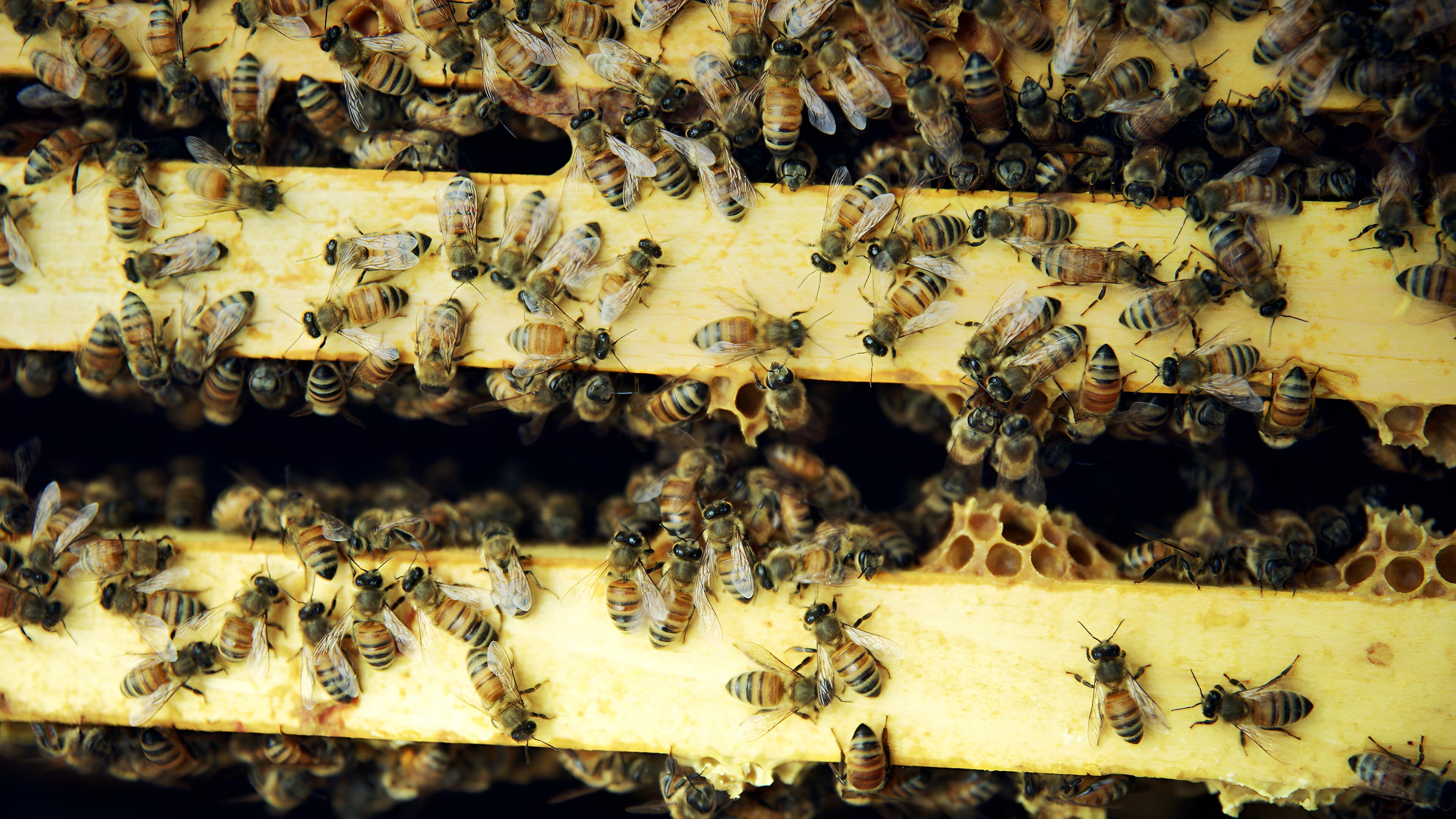 Épisode 7 : L'été tire à sa fin